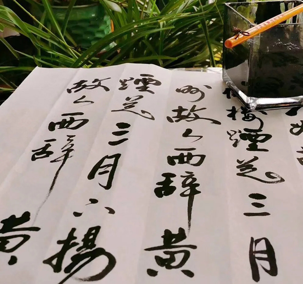 抖圈- 为du而生